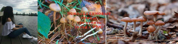 дистиллят марихуана Лагань