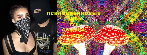 стафф Лабытнанги